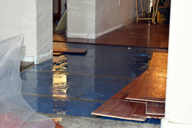 Professional Basement Flood Cleanup technician working in Wilmer, TX